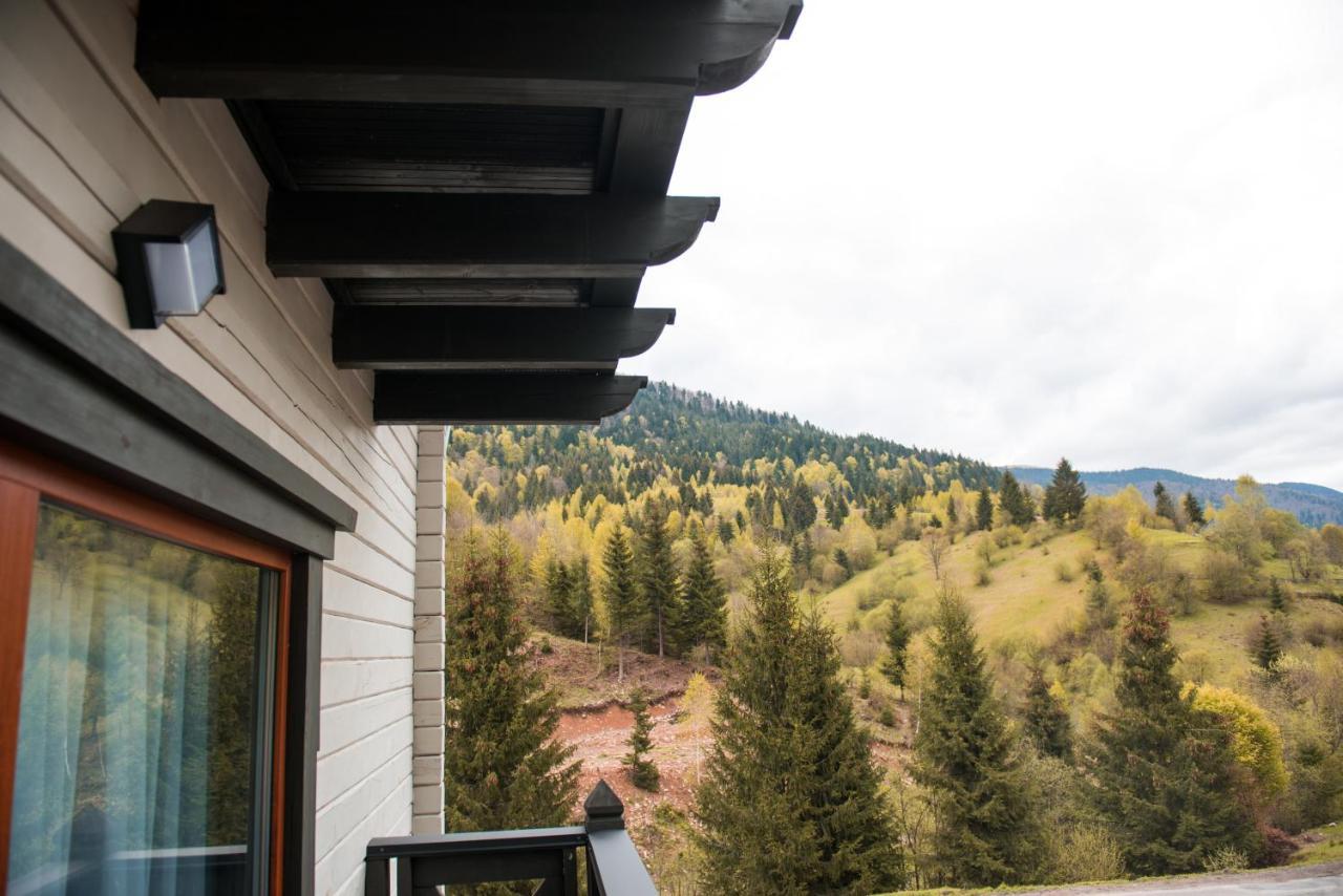 Chalet Carpat Dream Synevyr Luaran gambar