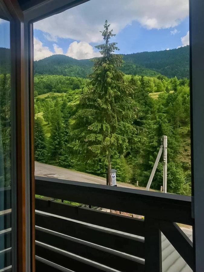 Chalet Carpat Dream Synevyr Luaran gambar