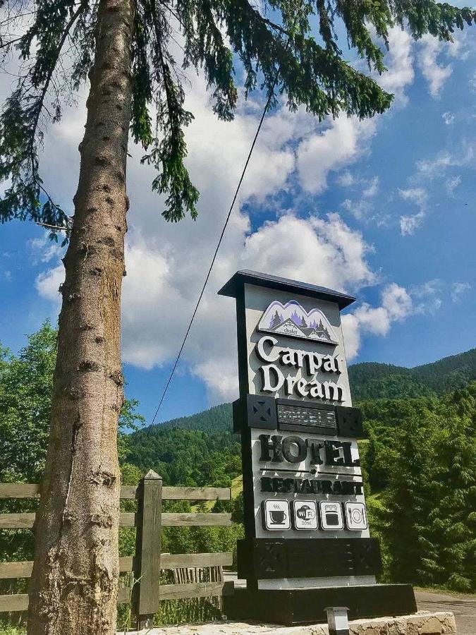 Chalet Carpat Dream Synevyr Luaran gambar